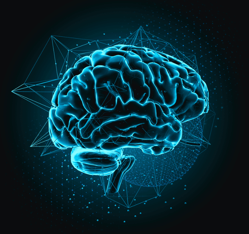 neural networks image